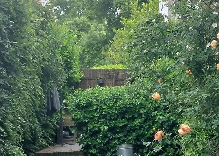 Townhouse Center * Arnhem